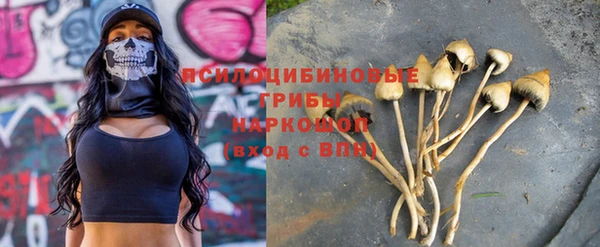 MESCALINE Алзамай